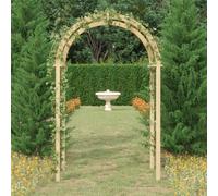 Arche avec Treillis 141x97x243 cm Bois de Pin Massif Imprégné Jardin vidaXL