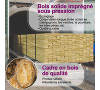 vidaXL Arche avec treillis Bois de pin vert imprégné 43256
