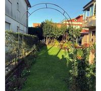 Arche d'arbre de jardin blanche - Cadre en métal pour plantes grimpantes - Pavillon décoratif pour jardin - 2 x 2,2 m de large x 2,2 m de haut - Parfait pour les plantes grimpantes