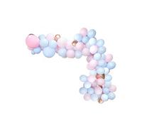 Arche de 125 Ballons Nuances de Rose et Bleu - BABYS -