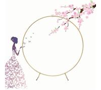 Arche de fond en métal résistante aux intempéries pour Mariachi - Réglable de 100 à 260 cm - Durable - Décoration d'événement en plein air - Parfait pour les mariages et les célébrations.