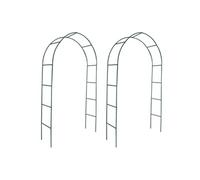 Arche De Jardin Pour Des Plantes Grimpantes(2 Pièces)