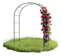 Arche de jardin 200 cm, 220 cm, 230 cm de haut, pergola et treillis en métal noir pour plantes grimpantes, décoration d'arche de mariage robuste (vert, 160 x 220 cm H)