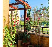 Arche de jardin à cadre en acier, arche métallique résistante aux intempéries for plantes grimpantes, pergola autoportante en treillis, largeur: 1,2m, 1,4m, 1,8m, 2,4m, 3m, 3,5m(Green,W2.4M*H2.2M)