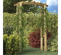 Arche de Jardin, Arceau de Jardin Arceau à Rosiers Arche de Rosiers Support pour Plantes Grimpantes Voûte en Treillis 150x60x210 cm Bois