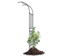Arche de jardin avec cadre en métal pour plantes grimpantes, tonnelle de roses avec support mural latéral pour légumes et fruits, support de plantes d'extérieur (noir, 125 x 267 x 60 cm)