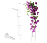 Arche de jardin demi-ronde en métal noir 60 x 300 cm élégante décoration extérieure pour plantes grimpantes design durable (L x l x H) 260 x 40 x 240 cm