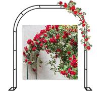 Arche de jardin d'extérieur robuste pour plantes grimpantes, support de rosier, grande arche de mariage, structure en métal durable
