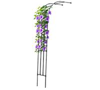 Arche de jardin durable pour plantes grimpantes, pergola, structure extérieure robuste, 60 à 300 cm, noir (L220 x l 40 x H240 cm)