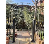 Arche de jardin en acier inoxydable, treillis métallique résistant aux intempéries pour roses, jardin extérieur et pelouse Structure de support décorative