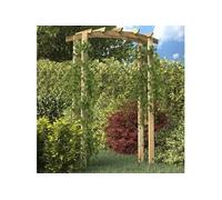 Arche de Jardin en Bois de Pin Massif 150x60x210 cm, Résistante à la Pourriture, Support pour Plantes Grimpantes, 41662