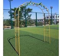 Arche de jardin en fer robuste pour plantes grimpantes et fleurs - Idéal pour les mariages, les anniversaires, les pergolas et la décoration extérieure - Améliore l'esthétique du jardin et les