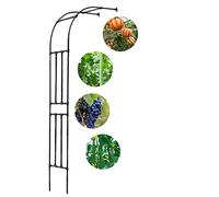 Arche de Jardin en métal à Demi-côté, résistante aux intempéries, Hauteur 240 cm, Largeur 60/90/120/150/180/220/240 cm (Noir, 150 x 240 cm)