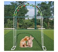 Arche de jardin en métal avec treillis, arche de rose durable pour diverses plantes grimpantes, vignes, décoration de fête de mariage, pergola, tonnelle