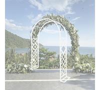 Arche de jardin en métal avec treillis et pergola pour plantes grimpantes - Arche d'extérieur robuste avec revêtement en poudre - Structure solide pour rosiers et vignes - Arche de jardin noire - 300