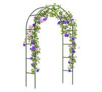 Arche de jardin en métal - Cadre en acier de 1,4 m à 3 m de large pour plantes grimpantes, décoration de mariage et de fête, tonnelle en fer pour glycine et gloire du matin (vert, 0,8 x 2 m)