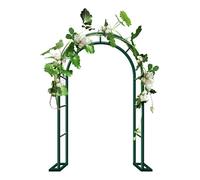 Arche de jardin en métal de 80 à 350 cm de large, pergola de mariage extérieure pour plantes grimpantes, tonnelle en treillis rond, structure en acier durable, finition verte (L 160 x l 40 x H 220 cm)