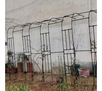 Arche de jardin en métal durable - Pergola tubulaire robuste - Support pour plantes grimpantes et roses - Parfait pour les mariages et les fêtes (220 x 240 x 40 cm)