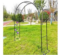 Arche de Jardin en métal for Plantes grimpantes, tonnelle à rosiers avec Support for Plantes, Arche décorative for Jardin extérieur Disponible(Black,W300*H220Cm/W9.8*H7.2Ft)