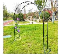 Arche de Jardin en métal for Plantes grimpantes, tonnelle à rosiers avec Support for Plantes, Arche décorative for Jardin extérieur Disponible(Green,W80*H200Cm/W2.6*H6.6Ft)