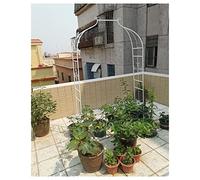Arche de jardin en métal pour plantes grimpantes - Cadre de support résistant à la rouille pour décoration de jardin - Design autonome
