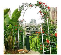 Arche de jardin en métal pour plantes grimpantes, décoration de mariage, antirouille et utilisation en intérieur/extérieur, toutes saisons, 120 x 220 x 25 cm, blanc