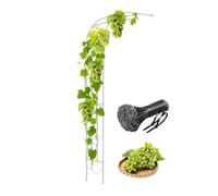 Arche de jardin en métal pour plantes grimpantes, décoration extérieure, support en fer forgé pour vignes, décoration de mariage, blanc (300 x 240 cm)