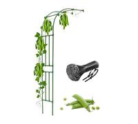 Arche de jardin en métal pour plantes grimpantes, décoration extérieure, support en fer pour vignes, décoration de mariage, vert, 240 x 240 cm, parfaite pour les roses et l'esthétique du jardin
