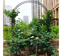 Arche de jardin en métal pour plantes grimpantes, pergola en fer résistant aux intempéries, 100 cm de large, 220 cm de haut, parfaite pour les roses et les vignes, décoration extérieure (noir)