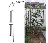 Arche de jardin en métal pour plantes grimpantes - Support mural en demi-arc pour plantes d'extérieur, treillis robuste pour vignes, roses et fleurs - Décoration de pelouse de terrasse, noir (60 x 240