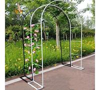 Arche de jardin en métal pour plantes grimpantes - Treillis décoratif pour vigne - Support de plantes d'extérieur - Finition blanc/noir - Parfait pour la décoration de jardin et la croissance des
