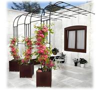 Arche de jardin en métal pour plantes grimpantes, treillis demi-cercle, tonnelle de rose décorative, support de pergola extérieure, décoration de jardin pour pelouse et balcon, 150 cm de large (noir