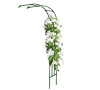 Arche de jardin en métal pour plantes grimpantes - Treillis et portail - Robuste - Dimensions : 60 x 240 cm, 90 x 240 cm, 120 x 240 cm, 180 x 240 cm, 300 x 240 cm (vert, 2,7 x 2,4 m H)