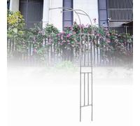 Arche de jardin en métal pour plantes grimpantes, vignes et roses - Treillis d'arche de mariage pour fruits de la passion et primevère (crème, 120 x 240 cm)