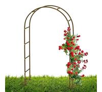 Arche de jardin en métal pour roses grimpantes et vignes, structure en acier marron avec base, support extérieur parfait pour la décoration de jardin et l'amélioration du paysage