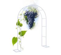 Arche de jardin en métal pour rosiers grimpants 80 x 200 cm, pergola avec base, parfaite pour les vignes, les tomates, les concombres, treillis blanc durable pour décoration de jardin