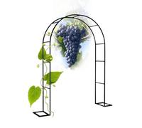 Arche de jardin en métal pour rosiers grimpants, pergola durable avec base 80 x 200 cm, idéale pour raisins, tomates, concombres, treillis de jardin blanc pour décoration extérieure