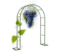 Arche de jardin en métal pour rosiers grimpants, plantes et légumes, pergola de jardin avec base 80 x 200 cm, idéale pour vignes, tomates, concombres (blanc)