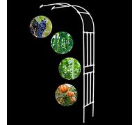 Arche de jardin en métal résistant aux intempéries 240 cm Hauteur réglable Largeur 60-240 cm Blanc Parfait pour plantes grimpantes et décoration extérieure Jardin