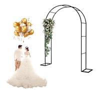 Arche de jardin en métal - Résistant aux intempéries - Treillis pour plantes grimpantes - Support en métal noir pour vignes - 300 x 220 cm - Idéal pour la décoration de jardin