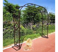 Arche de jardin en métal - Support robuste pour roses et vignes, parfait pour l'aménagement paysager extérieur, treillis de jardin durable pour plantes grimpantes, décoration extérieure élégante