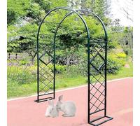 Arche de jardin en métal, treillis en fer forgé résistant aux intempéries pour plantes grimpantes et roses, tonnelle de jardin décorative, couleur verte, taille : 380 x 270 cm (l x H)