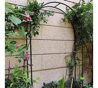 Arche de jardin en métal, treillis résistant aux intempéries pour plantes grimpantes, pergola, design en fer forgé, 120 x 220 cm, décoration de jardin verte