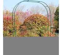 Arche de jardin en métal vert foncé - Décoration de mariage - Treillage de plante grimpante - Pergola autoportante - Tube de 19 mm de diamètre - Accent extérieur paysage