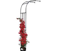 Arche de Jardin en Treillis for Roses et Plantes grimpantes, pergola Semi-arcos Di Rosa, 60cm, 90cm, 120cm, 150cm, 180cm, 220cm, 240cm(W120 xH240cm)