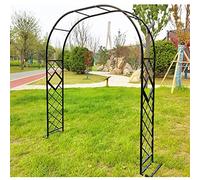 Arche de jardin extra large en métal noir et vert - 260 x 230 cm - Revêtement en zinc durable - Parfait pour plantes grimpantes - Décoration extérieure - Support robuste pour vignes et fleurs