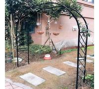 Arche de Jardin Fer forgé 140cm 180cm 220cm 260cm 370cm Arceau métal pour Rosiers Grimpantes Arche de Mariage Exterieur Noir Blanc (Color : Noir, Size : 310cm x 250cm)