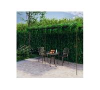 Pergola de Jardin Marron Antique 6x3x2,5 m Fer Forgé Arche de Patio vidaXL