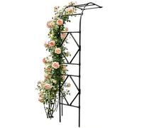 Arche De Jardin Murale en Métal Décorative, Arche De Jardin Demi-côté pour Rosiers, Demi Voûte À Roses Tonnelle Arceau Support Vignes, Treillis Mural Extérieur Noir Blanc(Blanc,W260 x H240cm)