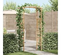 vidaXL Arche de jardin naturel en bambou 177 x 40 x 205 cm